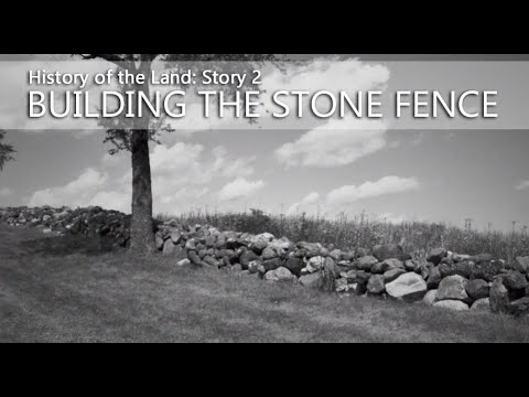 The History of the Land: Story 2 – Building the Stone Fence at Pope Farm