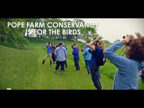 Pope Farm Conservancy is for the Birds
