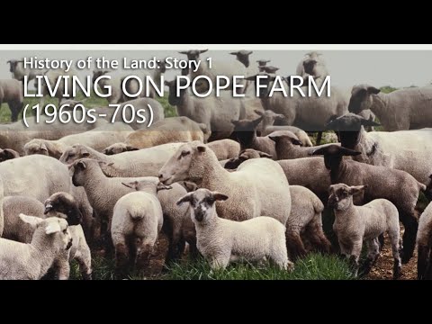 The History of the Land: Story 3 – Living on Pope Farm (1960s-70s)
