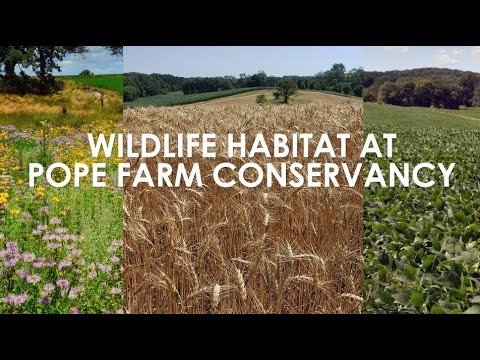 Wildlife Habitat at Pope Farm Conservancy