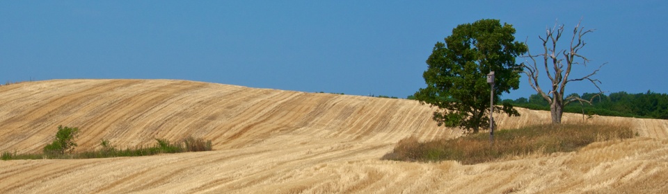 pope-farm-conservancy-slideshow-dry-summer