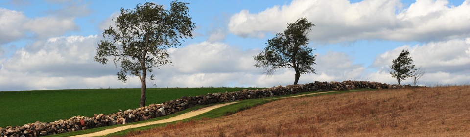 Home Page – Stone Fence