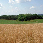 saving-our-soil-icon