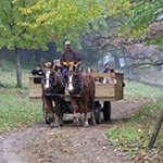 hayride