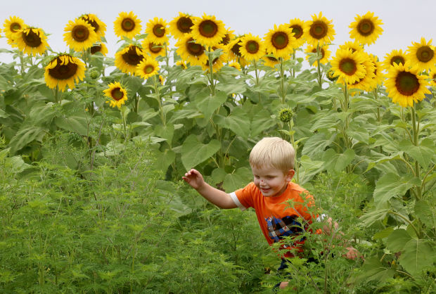 WI State Journal Photo – by John Hart