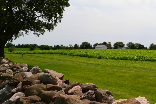 pope farm homestead and sunflowers