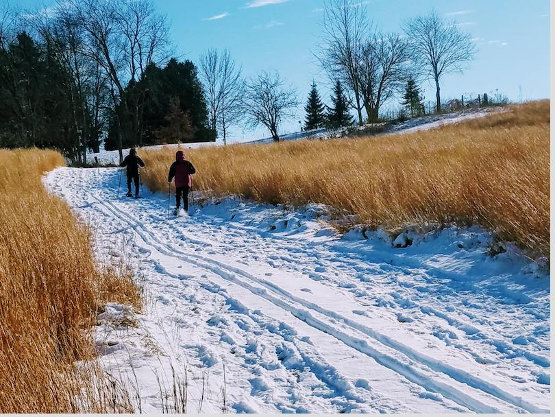 snowshoeing