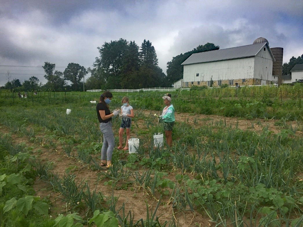 forward-garden-august-1