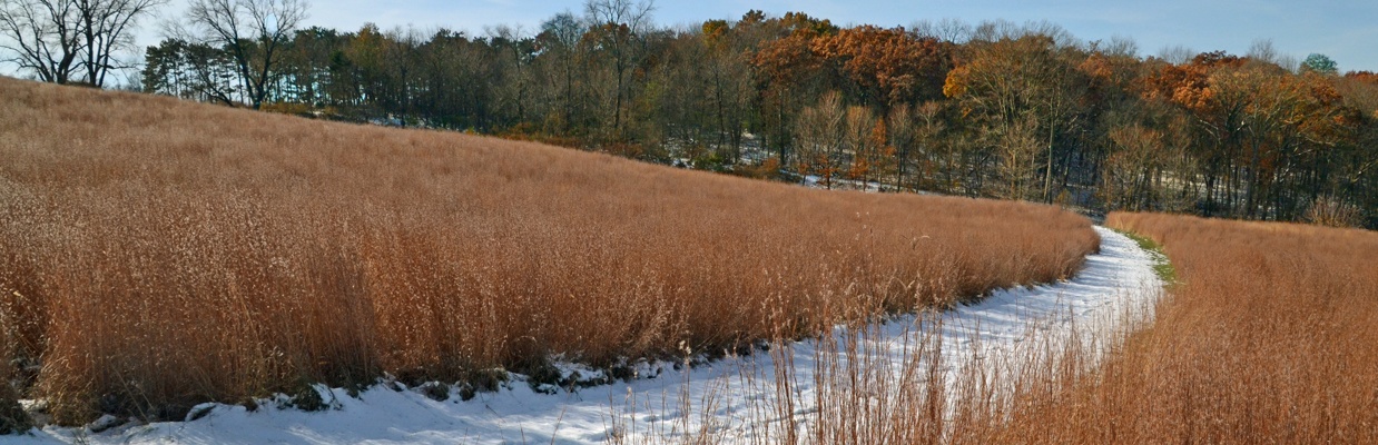 slider – blackhawk prairie