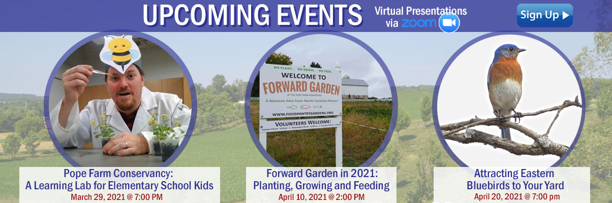 spring-events-banner-NEW