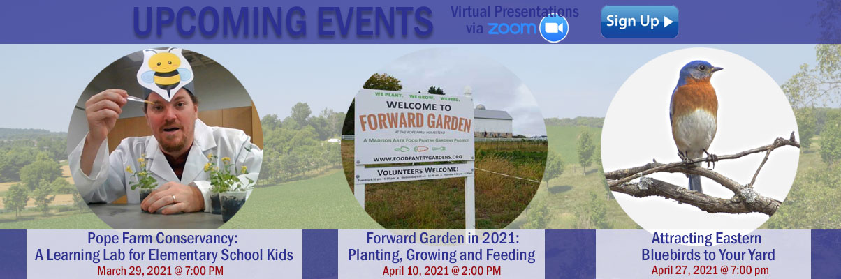 spring-events-banner2