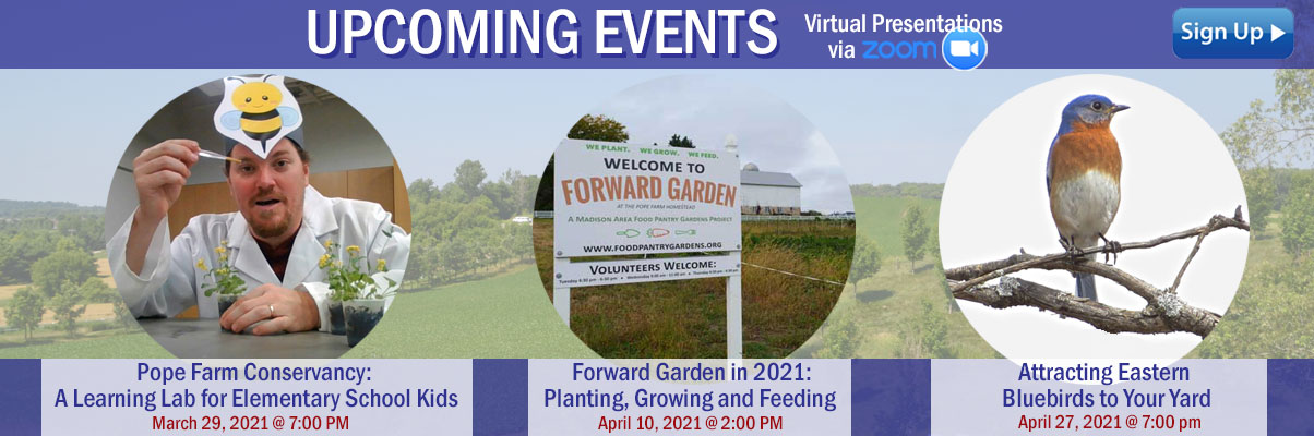 spring-events-banner3