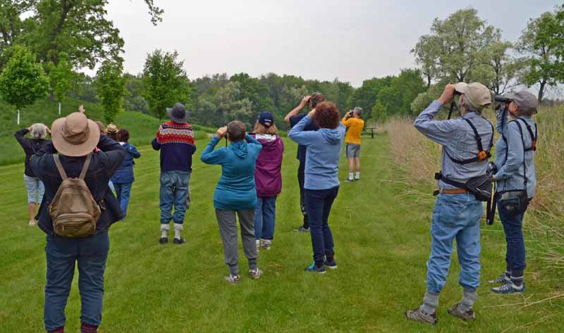 Bird Watching in Late Spring – Janie Starzewski
