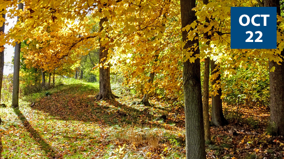 fall-photography-walk