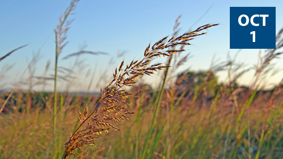 fall-prairie-walk