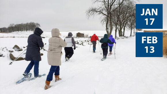 winter-walk-V2
