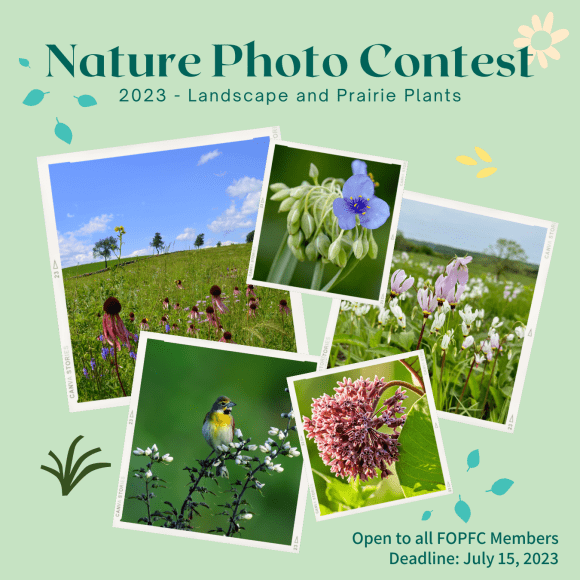 Spring Nature Competition Nature Photography Contest - Entries due July 22 - Friends of Pope Farm ...