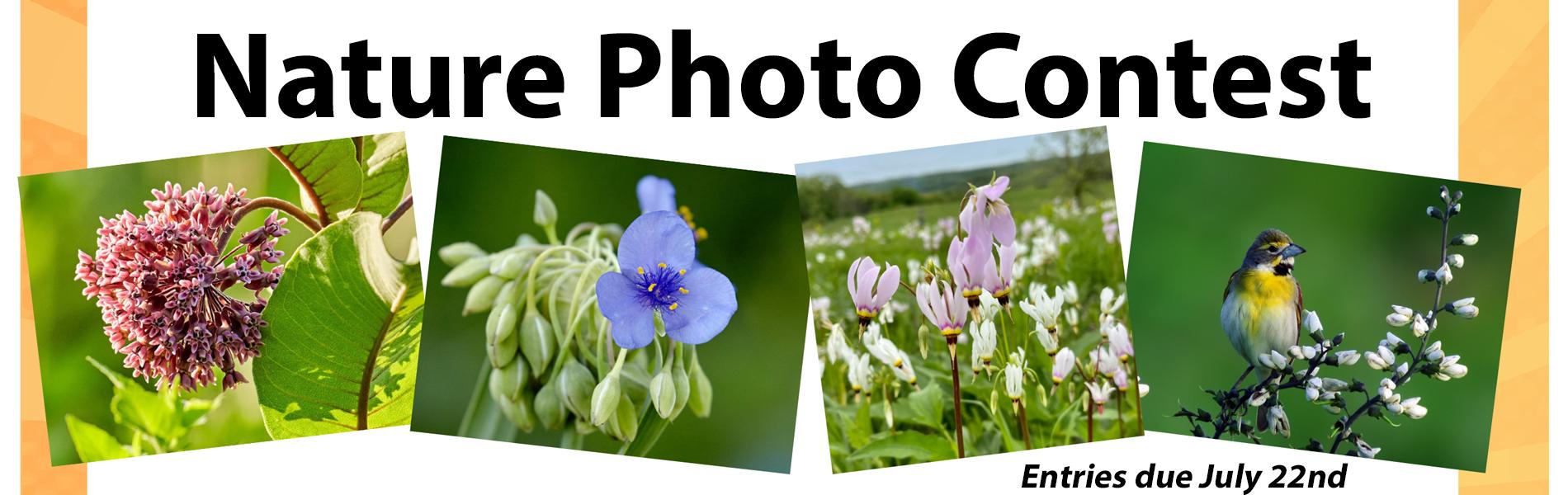 photo contest banner 2