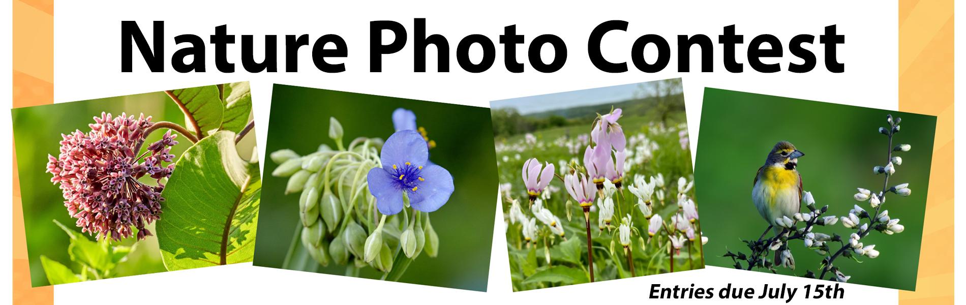 photo contest banner