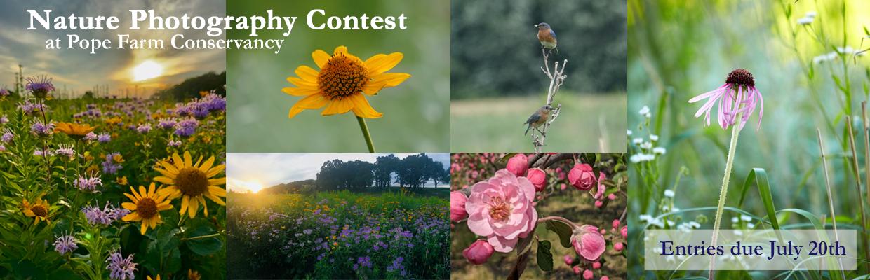 banner-2024 photo contest